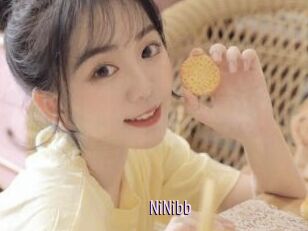NiNibb