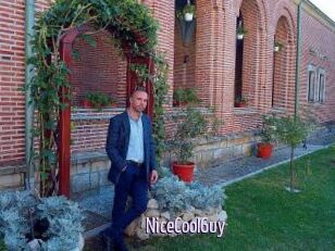 NiceCoolGuy