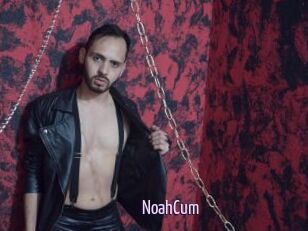 NoahCum
