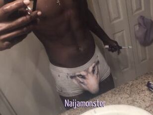 Naijamonster