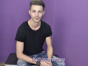 Nathanpervertgay