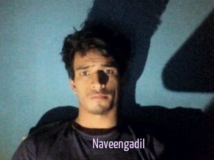 Naveengadil