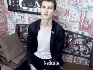 Nedcute