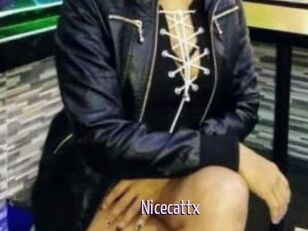 Nicecattx