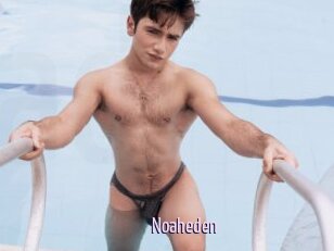Noaheden