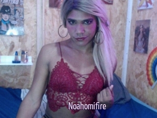 Noahomifire