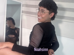 Noahsinn