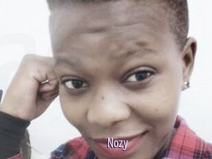 Nozy