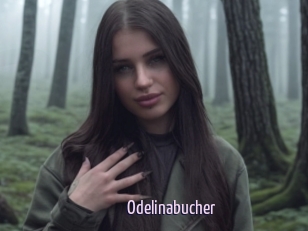 Odelinabucher