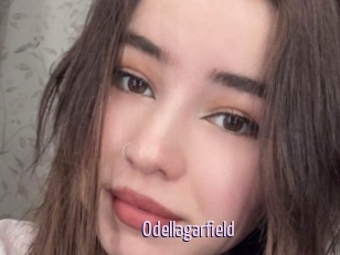 Odellagarfield