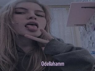 Odellahamm