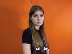 Odiliabuskey