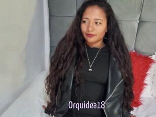 Orquidea18