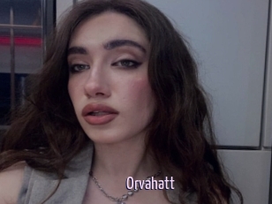 Orvahatt