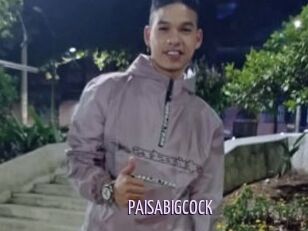 PAISABIGCOCK