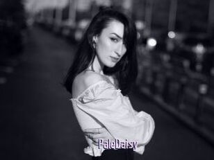 PaleDaisy