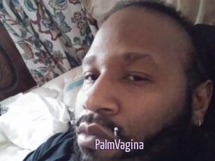 PalmVagina