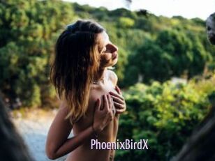 PhoenixBirdX