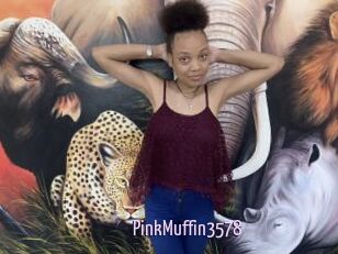 PinkMuffin3578
