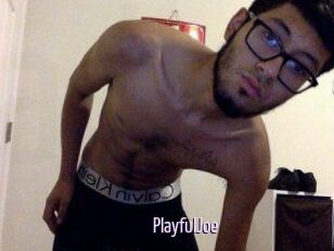 PlayfulJoe