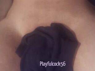 Playfulcock56