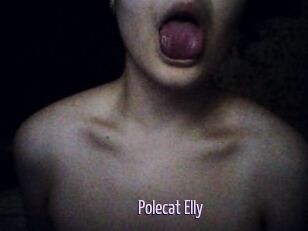 Polecat_Elly