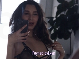 Paynadiavixen
