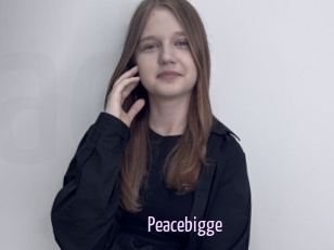 Peacebigge