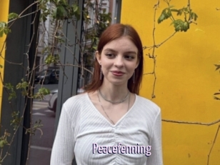 Peacefenning