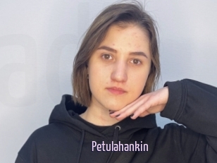 Petulahankin