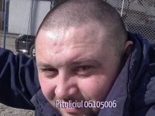 Pituliciul-06105006