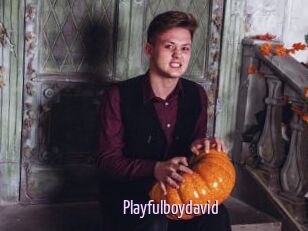 Playfulboydavid