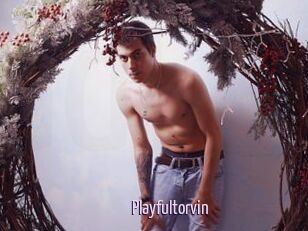 Playfultorvin