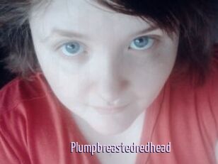 Plumpbreastedredhead
