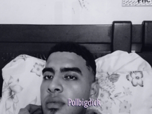 Pollbigdick
