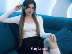 Ponytaamnel
