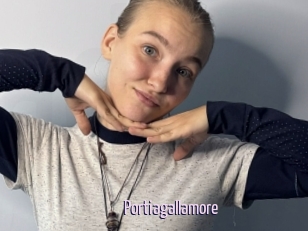 Portiagallamore