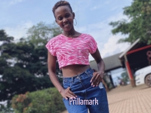 Prillamark