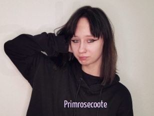 Primrosecoote