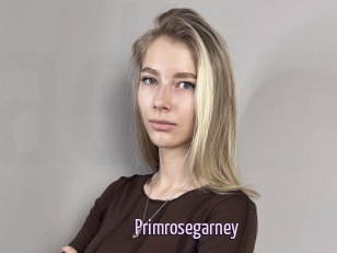 Primrosegarney
