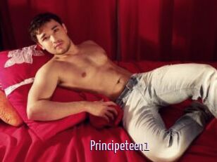 Principeteen1
