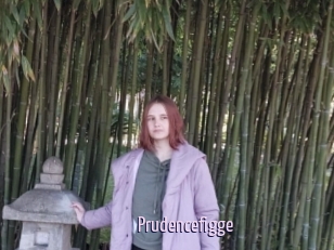 Prudencefigge