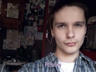 Pulseboy