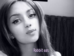 Rabbit_eas