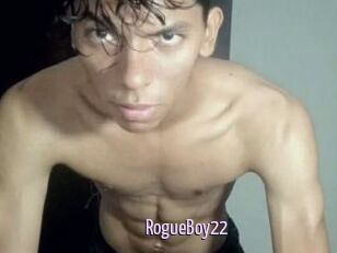 RogueBoy22
