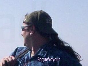 RogueVoyeur