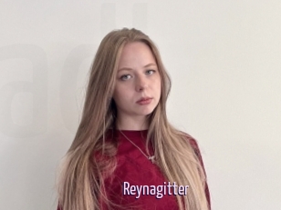 Reynagitter