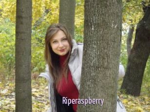 Riperaspberry