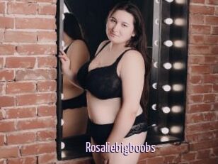 Rosaliebigboobs