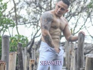SEBASMCFLY